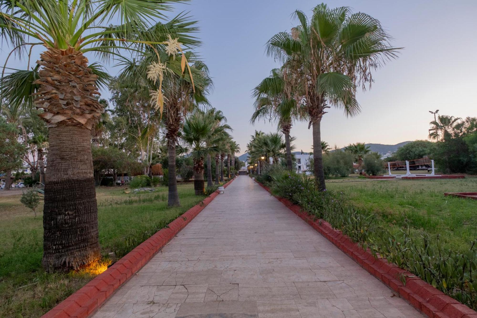Ladonia Hotels Del Mare (Adults Only) Gümbet Buitenkant foto